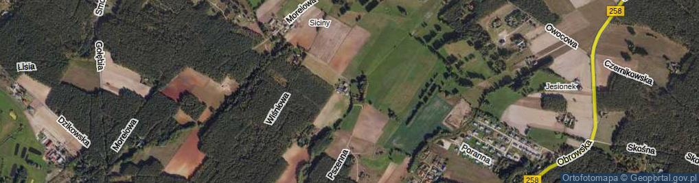 Zdjęcie satelitarne Jabłoniowa ul.